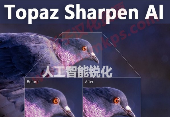 Topaz Sharpen AI破解版 v2.2.7 中文汉化版