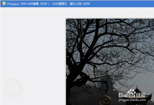 Google Picasa中文官方版 v3.8 精简版