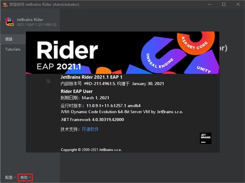 JetBrains Rider 2021完整破解版 汉化中文版