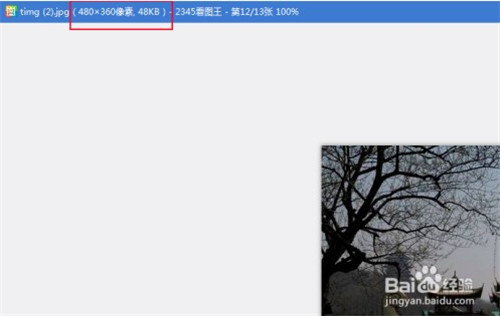 Google Picasa中文官方版 v3.8 精简版