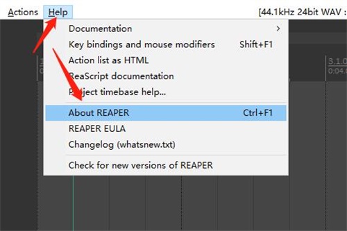 Cockos REAPER音频软件破解版 v6.2
