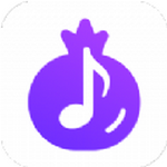 石榴音乐app官方版 v1.0.2