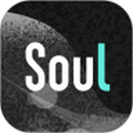 soul安装最新版 v4.4.0