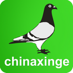 中国信鸽信息网手机版 v20210906
