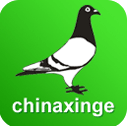 中国信鸽信息网 v20221122手机版