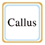callus模拟器 最新版本